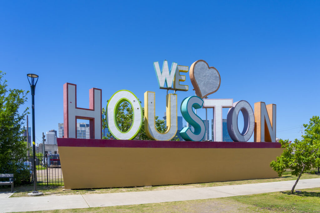 Best Cosmetic Surgeons in Houston: How to Choose
