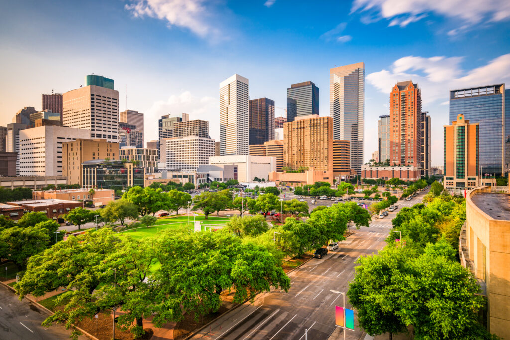 Who are the leading facial surgery specialists in Texas?